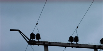 Bonn Convention - CEDREN side event: mitigating birds electrocution